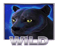 Panther Moon สัญลักษณ์ Wild