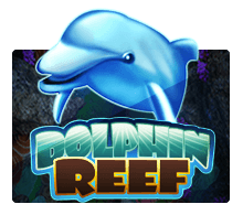 รูปหน้าปกเกม ทดลองเล่น Dolphin Reef ทาง Joker2022