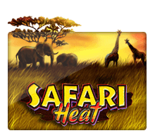 รูปภาพปกของเกม ทดลองเล่น Safari Heat Joker2022
