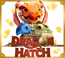 Cover ทดลองเล่น Dragon Hatch