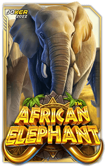 ทดลองเล่นสล็อต African Elephant