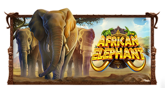 Preview ทดลองเล่นสล็อต African Elephant